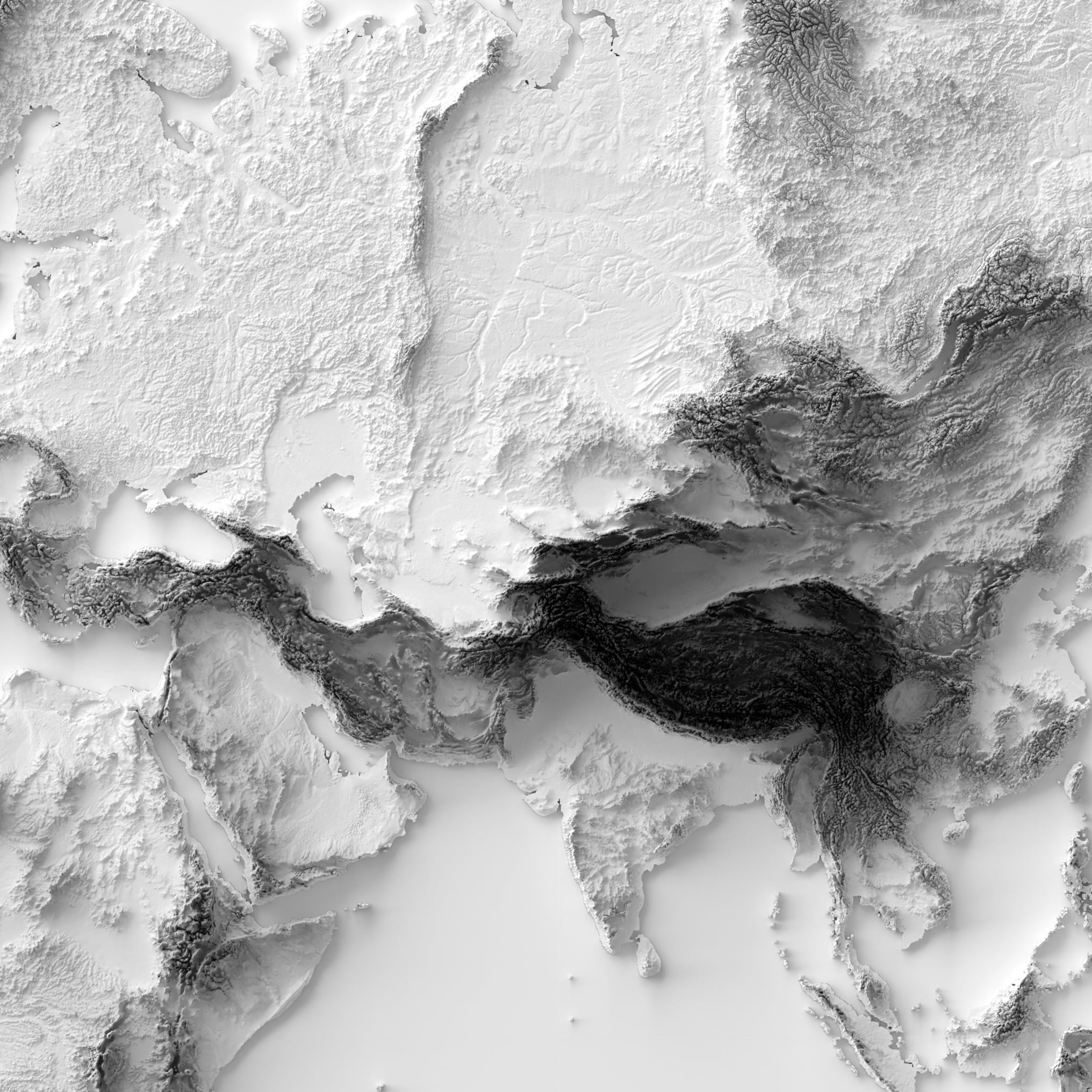 World_Zoom_1-min